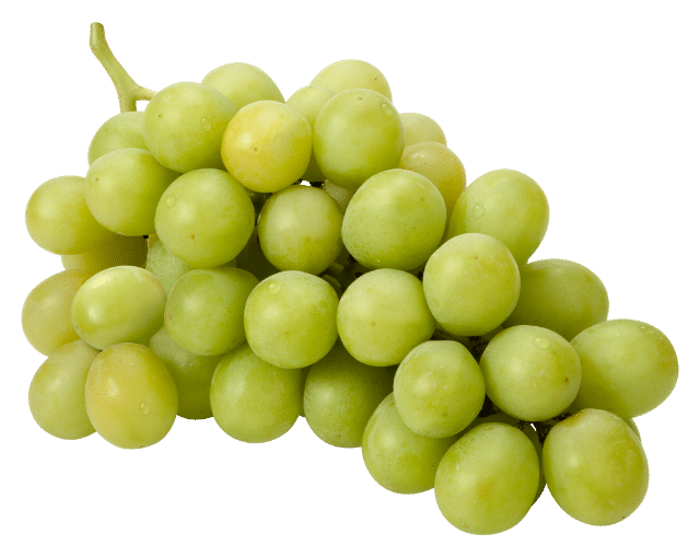 Grappe de raisin provençal, symbole d’authenticité et de terroir Loucadeo